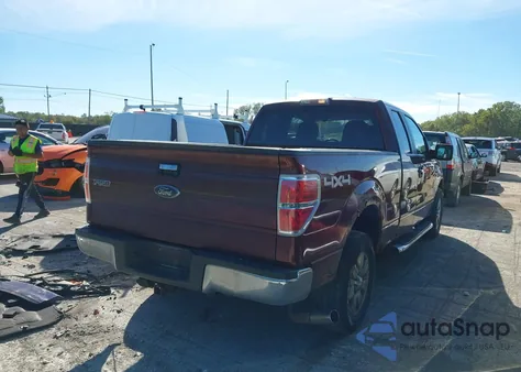 2010 Ford F-150 Stx/Xl/Xlt z USA, uszkodzony, nr VIN 1FTEX1E80AFD63869